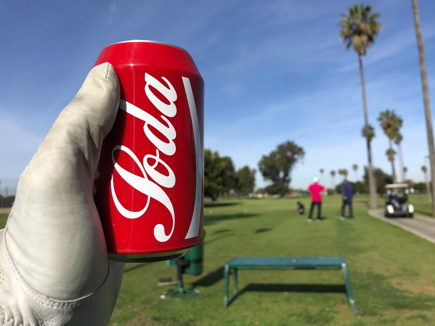 Beer Can Covers That Look Like Soda - Set of 4